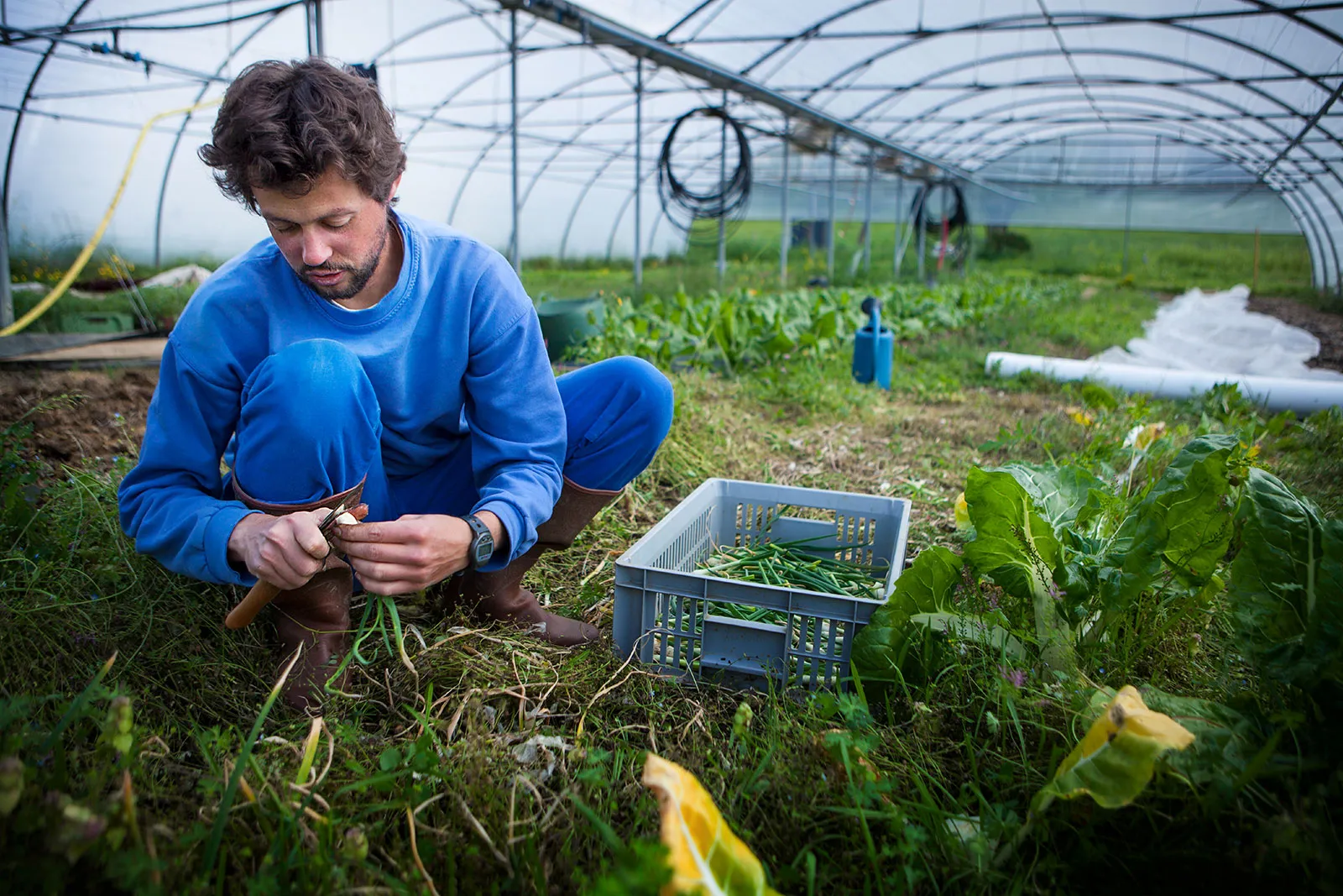 organic-farmer-working-community-based-farm-greenhouse-france